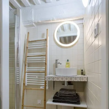Charming Loft For 4 At The Foot Of Sathonay Square *